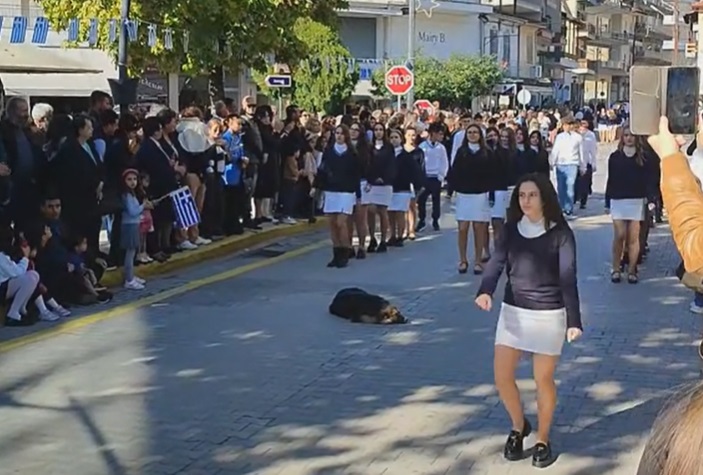 «Προσοχή μην τον ξυπνήσουμε»: Σκύλος απολαμβάνει τον ύπνο του στην παρέλαση – Βίντεο