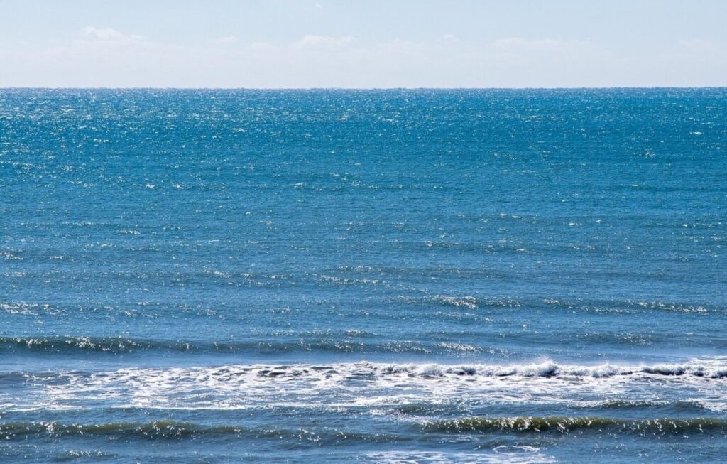 Συναγερμός: Εμφανίστηκε σαρκοφάγο βακτήριο στη θάλασσα – Σκοτwνει σε 48 ώρες